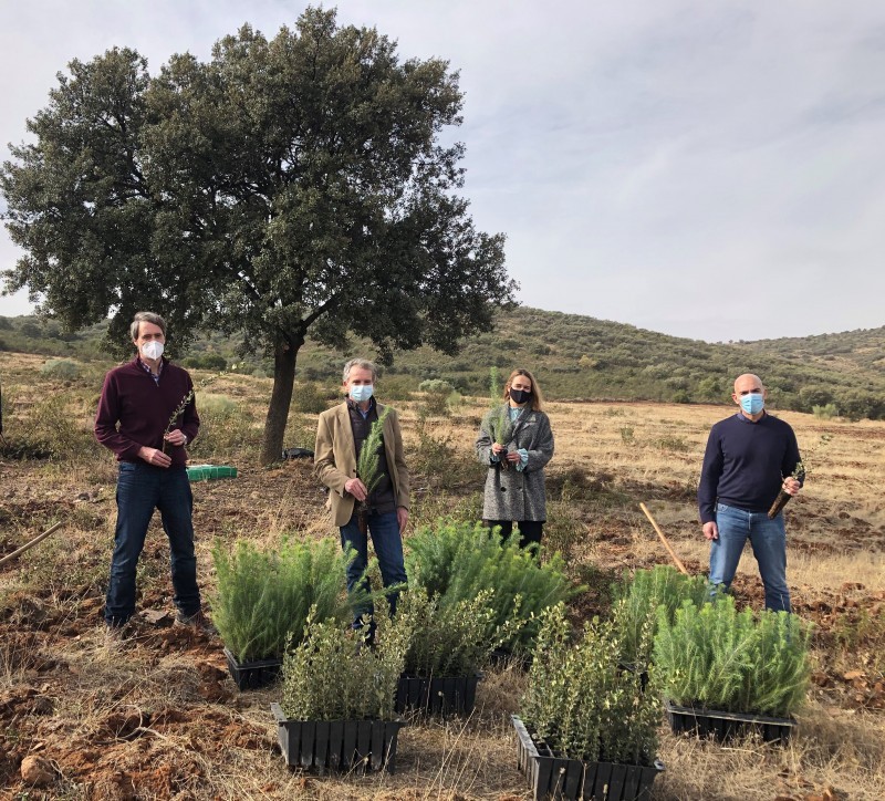 Novartis se une a Reforesta para poner freno a la 