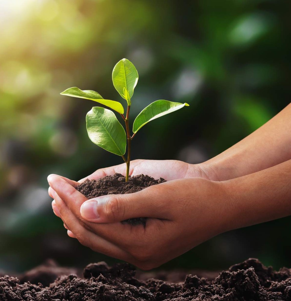 MSD en Espa&ntilde;a renueva su certificaci&oacute;n ISO 14001